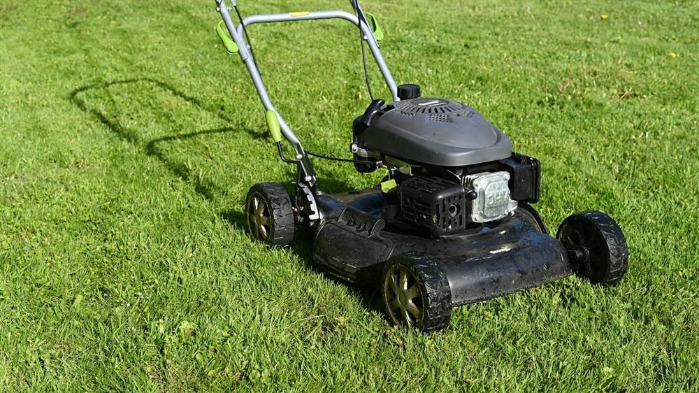 Gardener service in Dublin